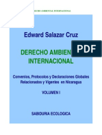 13079350 Edward Salazar Cruz Derecho Ambiental Internacional Volumen I