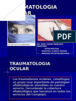 Traumatologia Ocular Hospital Viedma