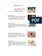 Enfermedades Transmitidas Por Vectores