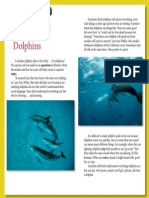 Dolphins (Aprendendo Inglês)