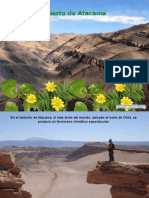 Desierto de Atacama 