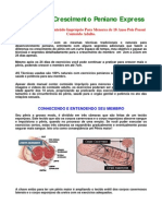 Manual de Crescimento Peniano