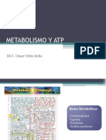 Metabolismo y Atp