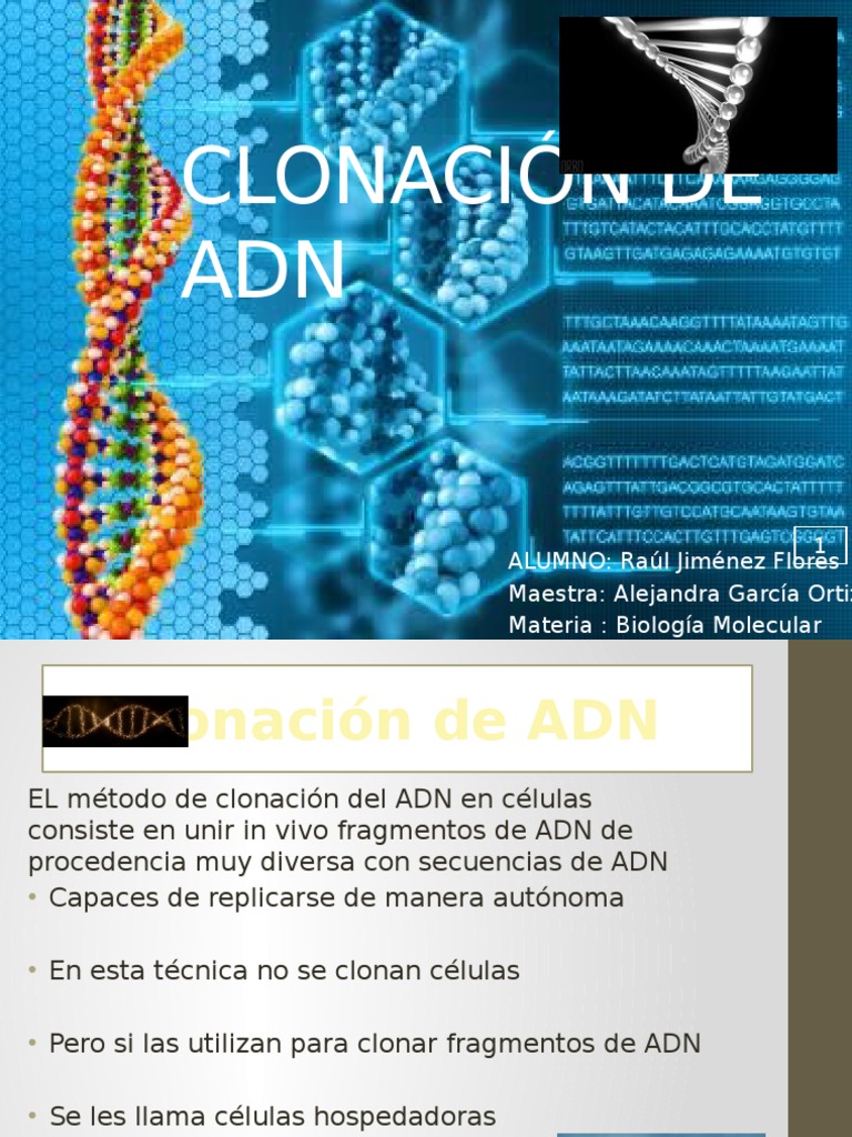 Clonación de Adn Clonación Adn