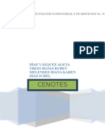 Proyecto Cenotes