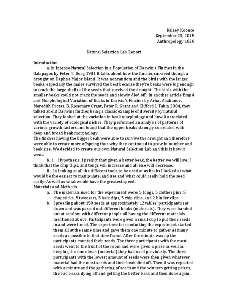 natural selection lab report Experiment Science