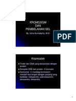 Pembelahan PDF