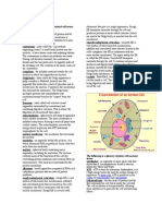 Animal and Plant Cell Organelles Guide