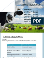 Cattle Insurance Guide for Farmers