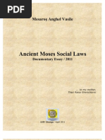 Download Ancient Moses Social Laws - Documentary Essay 2011 DOC by Mesaros Anghel Vasile SN28258990 doc pdf