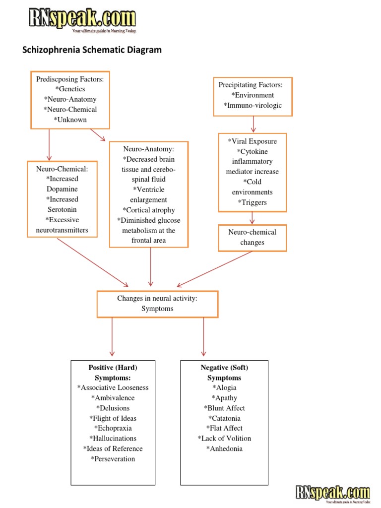 Paranoid schizophrenia pathophysiology