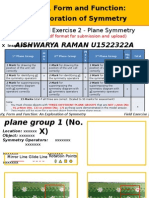 Field Exercise 2 - Plane Symmetry - Template - August 2015