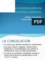 La Congelación en Proteínas Cárnicas