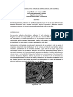 Daño de La Radiacion Uv y El Sistema de Reparacion Del Adn Bacterial