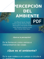 2 Percepcion Del Ambiente