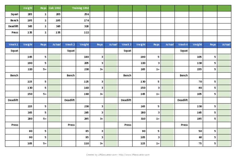 5/3/1 Template Form | PDF