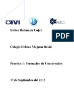 Coacervados Practica 1