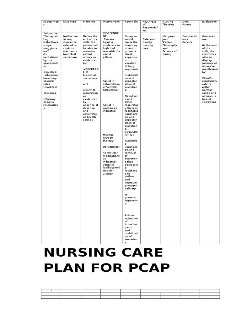 Nursing Care Plan For Pcap Respiratory Tract Nursing