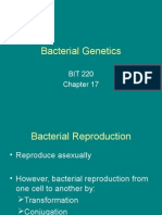 Ch17 Bacteria Genetic