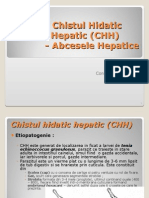 Curs - Chistul Hidatic Hepatic+Abcesul Hepatic