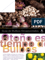 Guia de Bulbos