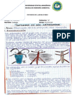 Informe Laboratorio