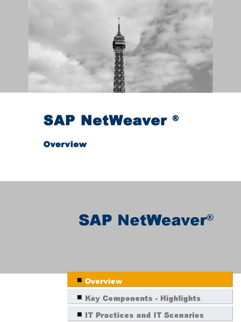 SAP NetWeaver OverviewSAP NetWeaver Overview