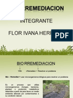 Exp Biorremediacion.ppt