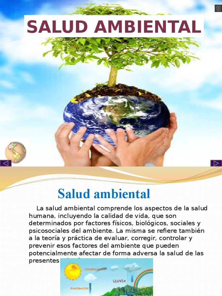Importancia de la Salud Ambiental | PDF | Salud Ambiental | Comportamiento