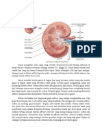 Anatomi Fisiologi Ginjal