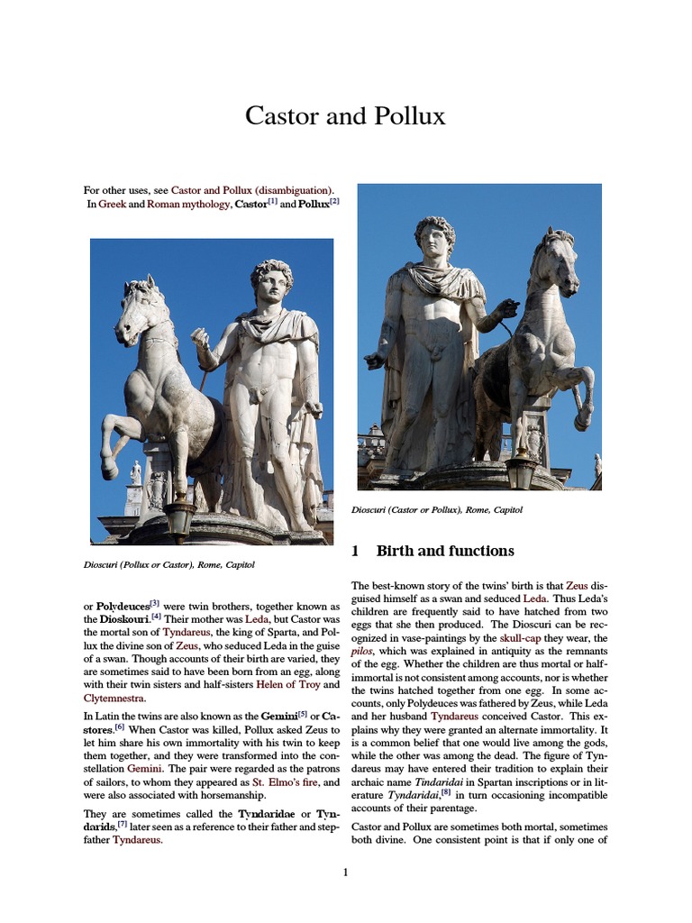 Castor and Pollux PDF Greek Mythology Ancient Greek Religion