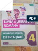 Modalitati de Lucru Romana Mogos