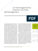 Domesticar en Biorreactor PDF