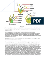 Agrostology (Bunga Rumput)