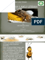 Tingkah Laku Lebah