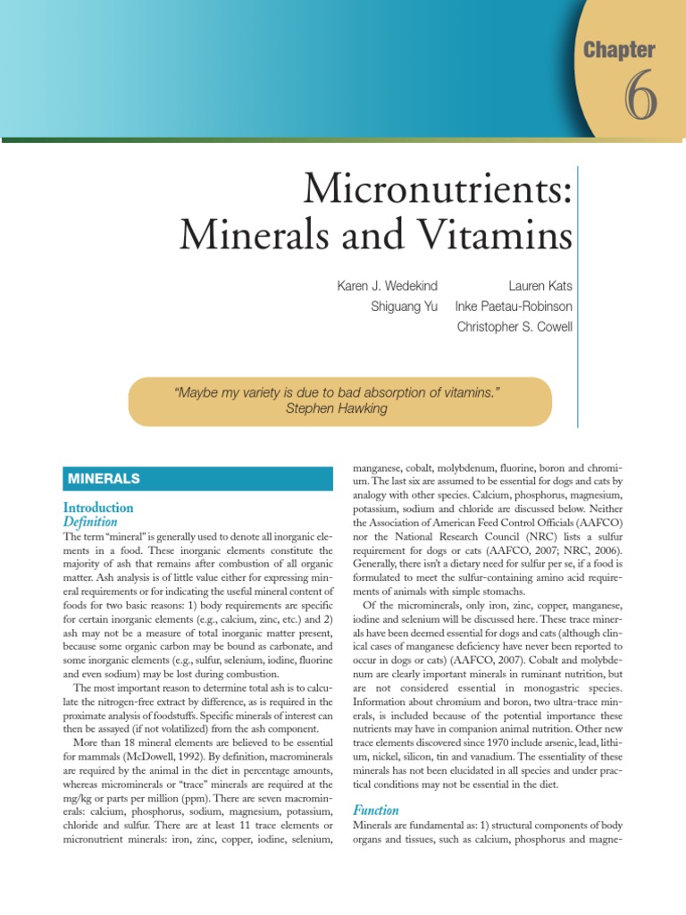 Small Animal Clinical Nutrition PDF Homeostasis Calcium