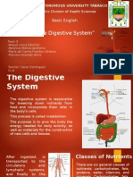 The Digestive System