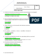 Pauta Prueba Sistema Nervioso