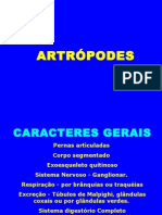 Artropodes