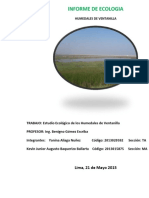 Informe