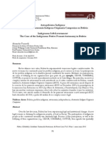 Alexandra Tomaselli - Autogobierno Indígena