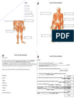 Guía de Aprendizaje_musculos_4°