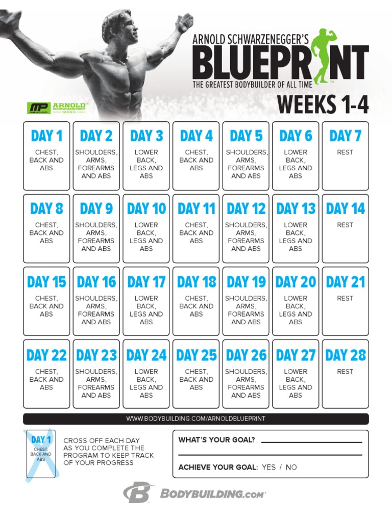 Arnold Schwarzenegger's Blueprint Trainer Mass Calendar | PDF | Sports ...