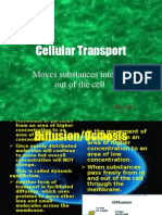 7.4 Nathan Cellular Transport