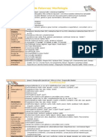 Classes de Palavras (Quadro-Síntese)