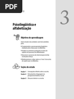  Concepções da Criança Sobre Escrita 