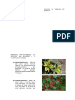 Sintomas y Signos Producidos Por Rganismos Fitopatogenos