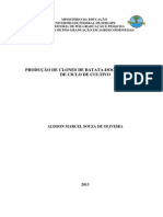 Alisson Marcel Souza Oliveira2 PDF