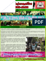 Boletin Informativo N°274 Une-Alma PDF