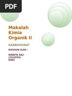 Download Makalah Kimia Organik II Karbohidrat by Rianita Sali SN282762853 doc pdf